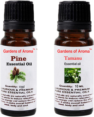 

Gardens Of Aroma Pine And Tamanu(20 ml)