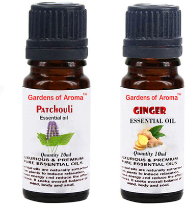 

Gardens Of Aroma patchouli And Ginger(20 ml)