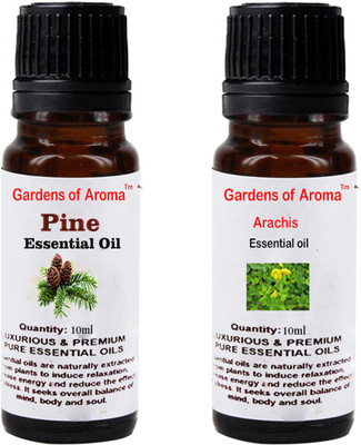 

Gardens Of Aroma Pine And Arachis(20 ml)