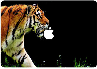 

G brother MACretaina12lap468 Vinyl Laptop Decal 12
