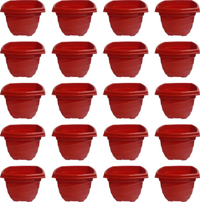 

NIBBO Nibbo 3138 Plant Container Set(Pack of 20, Plastic)