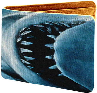 

AzaadCollection Men Multicolor Canvas Wallet(5 Card Slots)