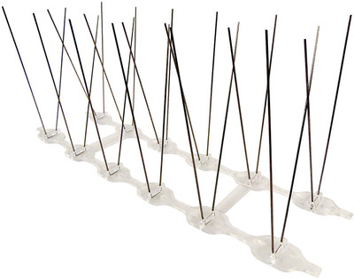 RIDDHI SIDDHI Bird Spike