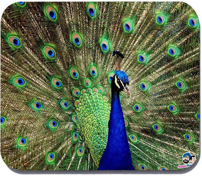 

Takshak Printed,Designer-087 Mousepad(Multicolor)