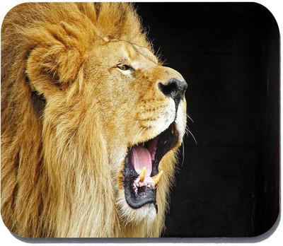 

Takshak Printed,Designer-235 Mousepad(Multicolor)