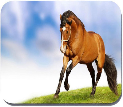 

Takshak Printed,Designer-390 Mousepad(Multicolor)