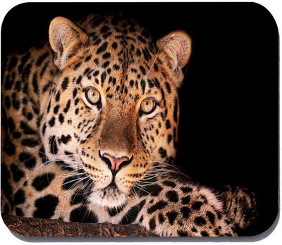 

Takshak Printed,Designer-386 Mousepad(Multicolor)