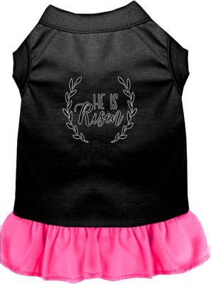 

Mirage Pet Products Dress for Dog(Black, Bright Pink, Multicolor