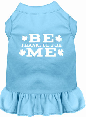 

Mirage Pet Products Dress for Dog(Baby Blue