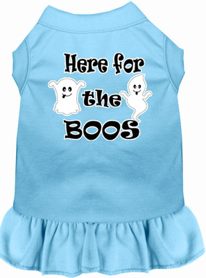

Mirage Pet Products Dress for Dog(Baby Blue
