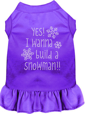 

Mirage Pet Products Dress for Dog(Purple