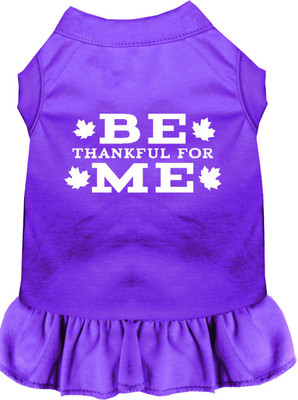 

Mirage Pet Products Dress for Dog(Purple