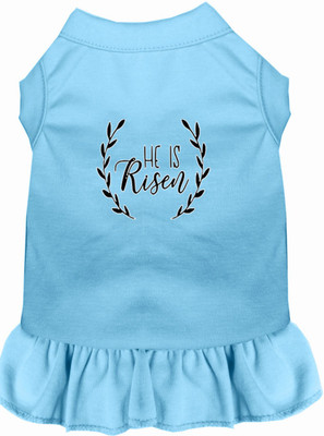 

Mirage Pet Products Dress for Dog(Baby Blue