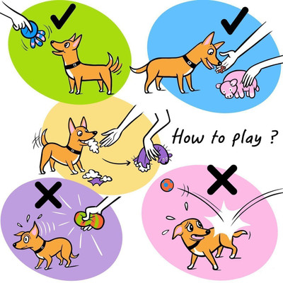 

Mymart Rubber Squeaky Toy For Dog & Cat