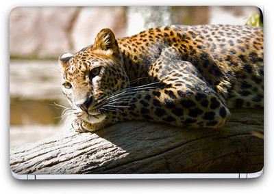 

Flipkart SmartBuy Stunning Leopard Vinyl Laptop Skin (3M/Avery Vinyl, Matte Laminated, 13 x 8.5 inches) Vinyl Laptop Decal 13.3