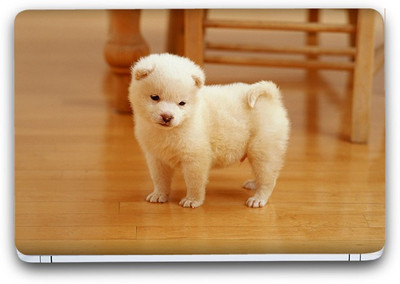 

Flipkart SmartBuy Cute Puppy Vinyl Laptop Skin (3M/Avery Vinyl, Matte Laminated, 14 x 9 inches) Vinyl Laptop Decal 14.1