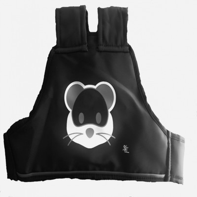 

SI Safety Belt For Two Wheeler Baby Carrier(Black, Back Carry)