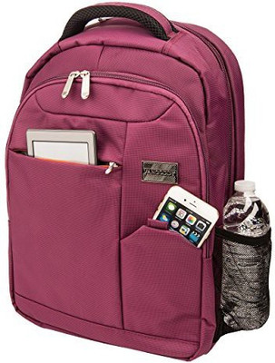 

Vangoddy 15.6 inch Laptop Backpack(Purple)
