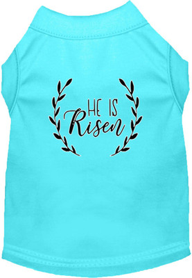 

Mirage Pet Products T-shirt for Dog(Aqua, Blue