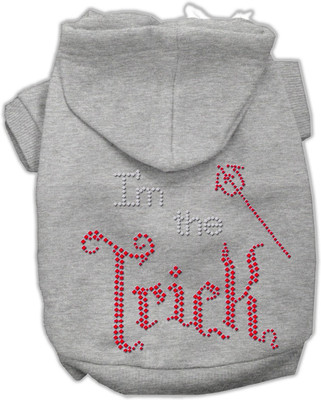 

Mirage Pet Products Hoodie for Dog(Grey