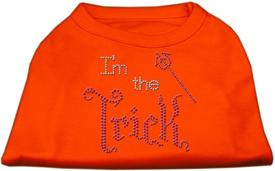 

Mirage Pet Products T-shirt for Dog(Orange