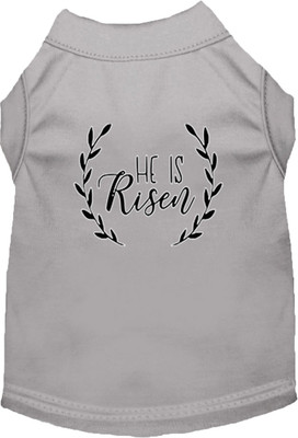 

Mirage Pet Products T-shirt for Dog(Grey