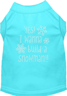 

Mirage Pet Products T-shirt for Dog(Aqua, Blue
