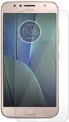 Treecase Screen Guard for Motorola Moto G5s(Pack of 1)