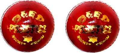 

SSS SSBTB09 Cricket Leather Ball(Pack of 2, Red)