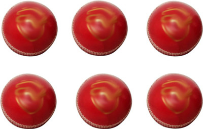 

SSS SSBTB15 Cricket Leather Ball(Pack of 6, Red)