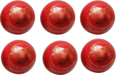 

SSS SSBTB17 Cricket Leather Ball(Pack of 6, Red)