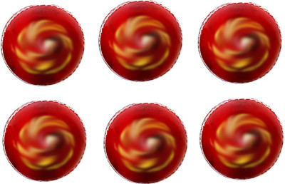

SSS SSBTB18 Cricket Leather Ball(Pack of 6, Red)