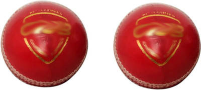 

SSS SSBTB06 Cricket Leather Ball(Pack of 2, Red)