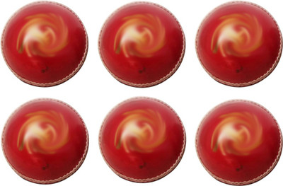

SSS SSBTB16 Cricket Leather Ball(Pack of 6, Red)
