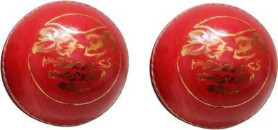 

SSS SSBTB08 Cricket Leather Ball(Pack of 2, Red)