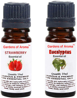 

Gardens Of Aroma Strawberry Essential Oil And Eucalyptus Essential Oil(20 ml)