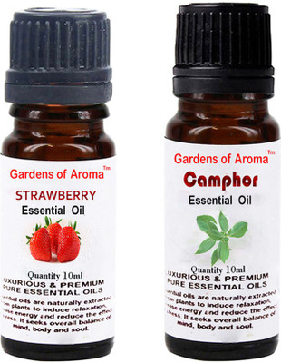 

Gardens Of Aroma Strawberry Essential Oil And Camphor Essential Oil(20 ml)