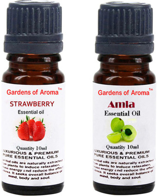 Gardens Of Aroma Strawberry Essential Oil And Amla Essential Oil(20 ml)