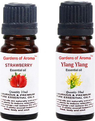 

Gardens Of Aroma Strawberry Essential Oil And Ylang Ylang Essential Oil(20 ml)
