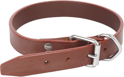

Sri SRI High Quality Adjustable Solid Leather Dog Collar 1 Inch With Belt Buckle (Brown) Embellished Dog Collar Charm(Brown, Other)