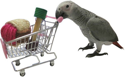 

Birds' Park Pet Laser Toy(Free Standing)