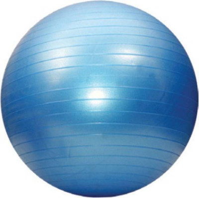 

WELCARE Gym Ball, Blue
