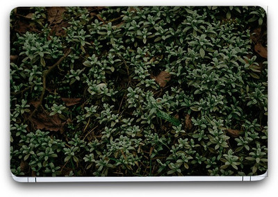 

Flipkart SmartBuy Beautiful Greenery 4 Vinyl Laptop Skin (3M/Avery Vinyl, Matte Laminated, 15 x 10 inches) Vinyl Laptop Decal 15.6
