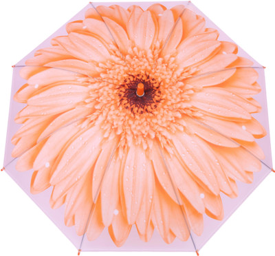 

FabSeasons Kids Fancy 3D & Flowers Digital Printed, Single Fold Stick Umbrella For Rains, Summer and Sun Protection Umbrella(Orange)