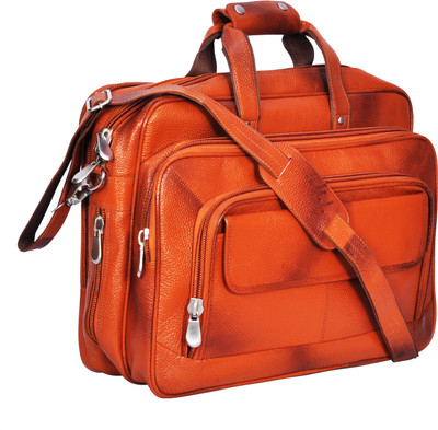 

NextGen 17 inch Expandable Laptop Messenger Bag(Tan), Blue