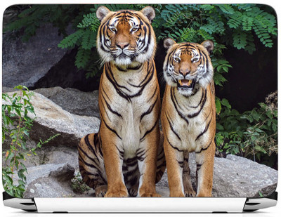

PRINTHUBS LAPTOP239 Vinyl Laptop Decal 15.6