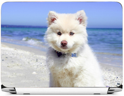 

PRINTHUBS LAPTOP174 Vinyl Laptop Decal 15.6