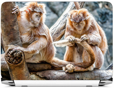 

PRINTHUBS LAPTOP229 Vinyl Laptop Decal 15.6