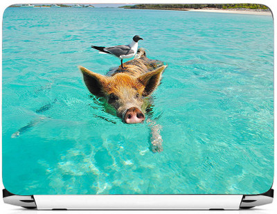 

PRINTHUBS LAPTOP232 Vinyl Laptop Decal 15.6