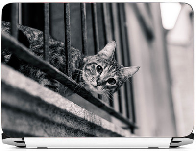 

PRINTHUBS LAPTOP175 Vinyl Laptop Decal 15.6